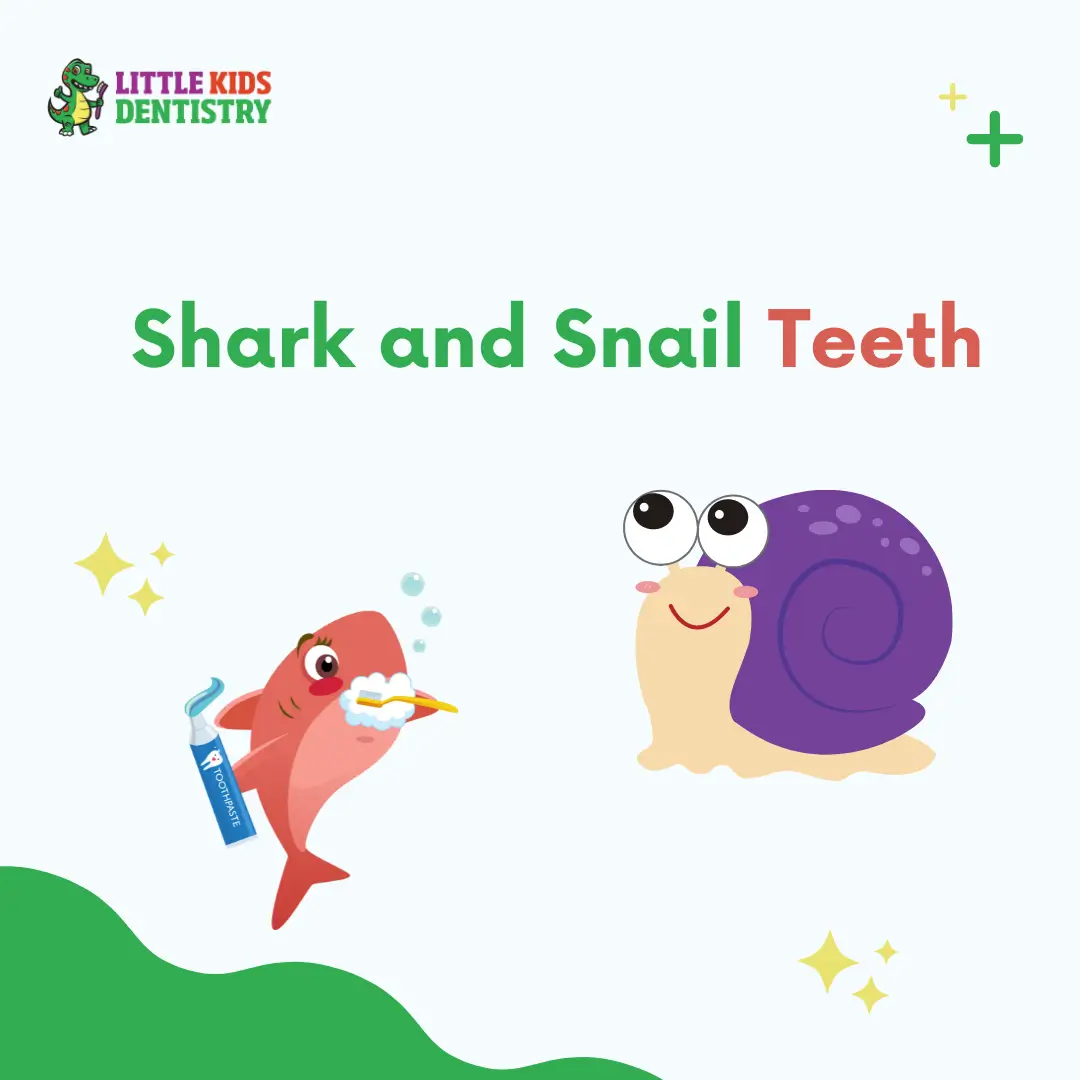 Shark and Snail Teeth